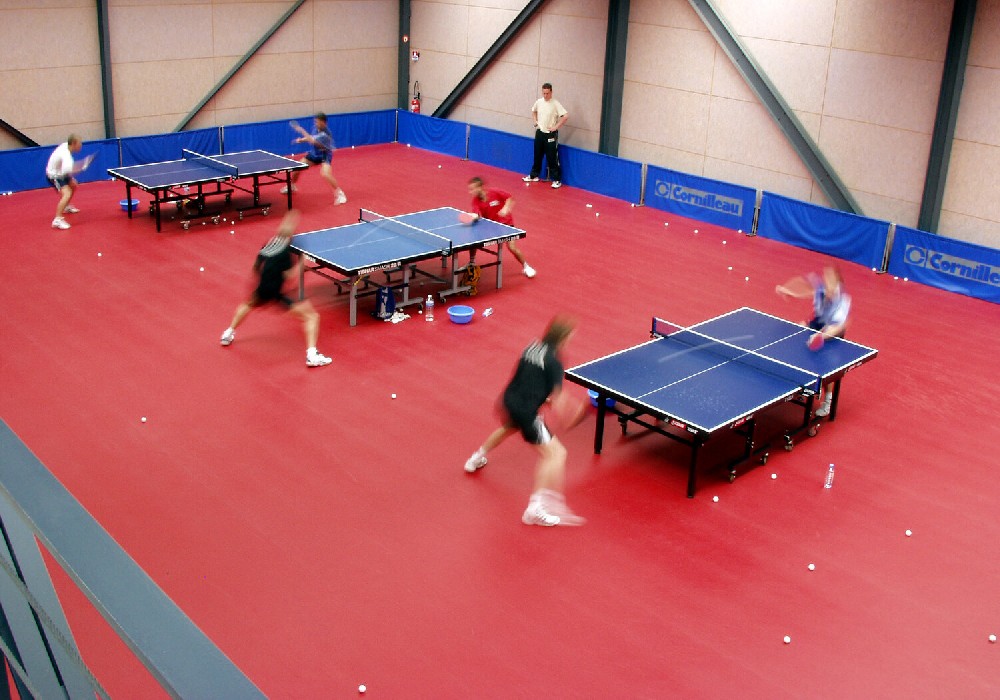 TARAFLEX TABLE TENNIS 6.2